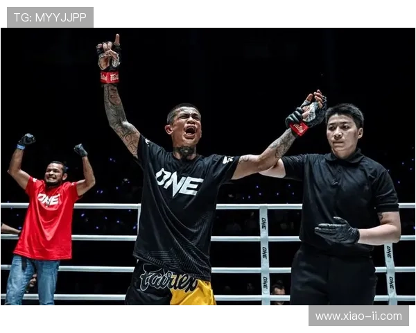 One FC格斗之夜:热血直播,巅峰对决震撼上演! One FC格斗之夜:热血直播,巅峰对决震撼上演!